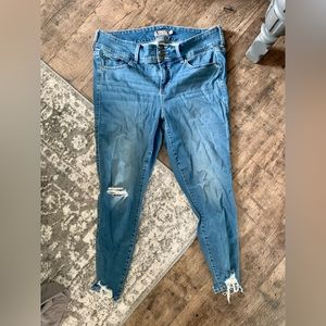 Torrid Jeans